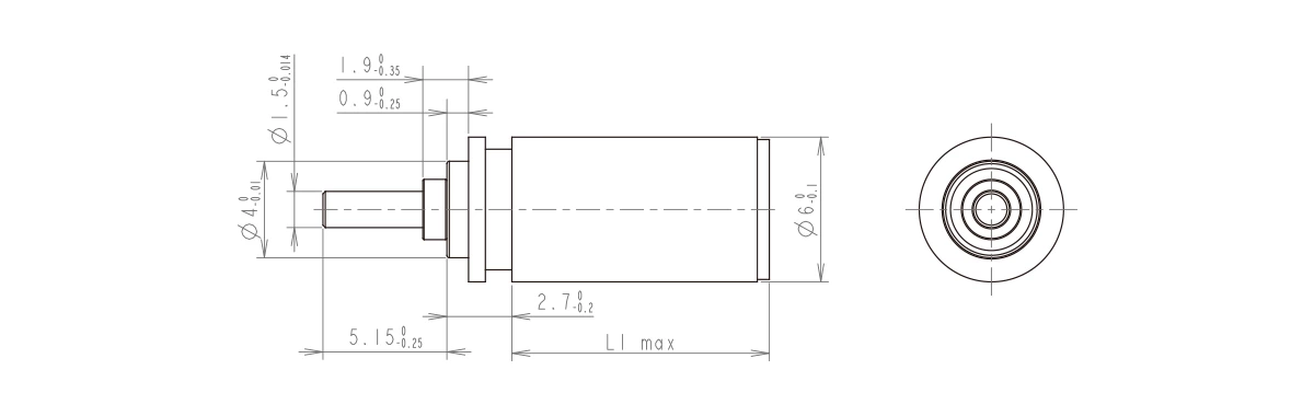 6mm Gear Motor